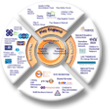 New NCB Organisational Wheel